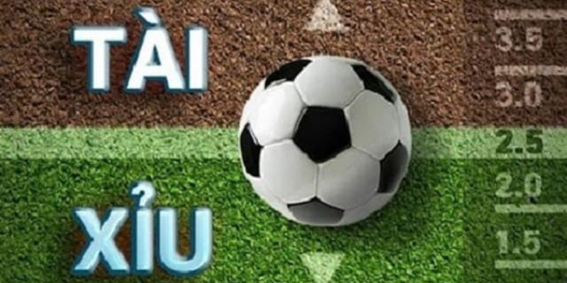 Cách cá độ bóng đá tài xỉu là gì