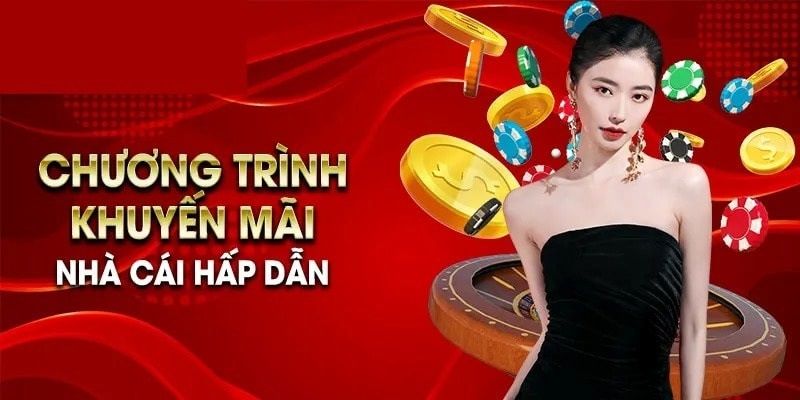 Tổng quan khuyến mãi socolive